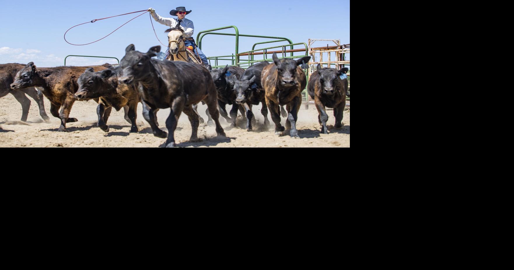 Meeteetse Ranch Rodeo | Local News | codyenterprise.com