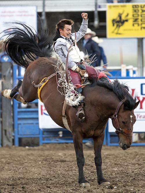 Rodeo