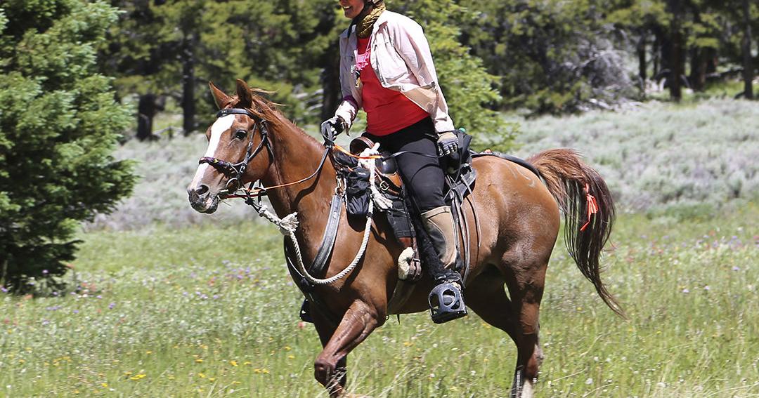 Collins competes in grueling Big Horn 100 horseback ride | People ...