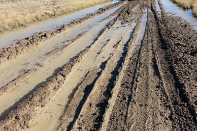 Mud