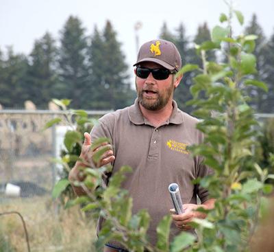 Uw Extension Offers Online Master Gardening Courses People