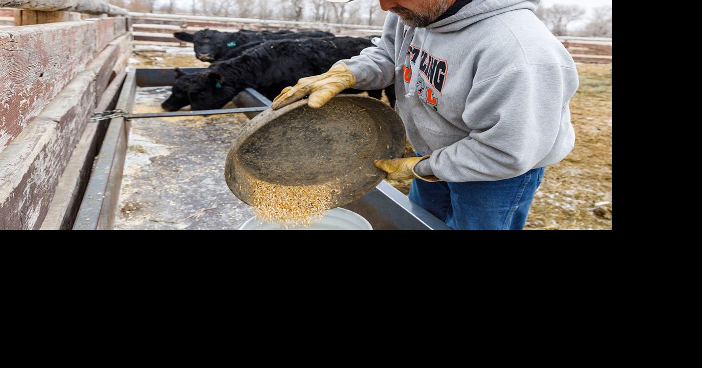 What makes beef local? Cattle ranchers in region want to change law ...