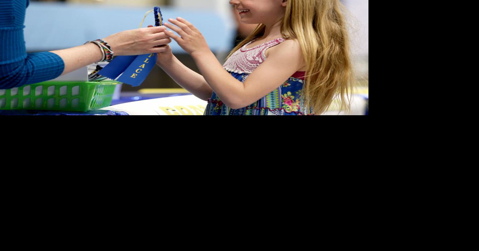 Budding young authors: Elementary students honored for books | People ...