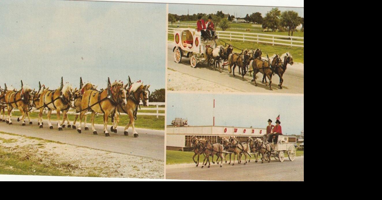 Vintage advertising with horses