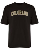 NCAA Men's Wordmark T-Shirt, Team Color