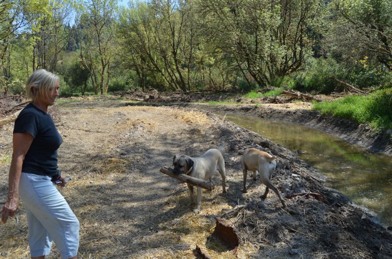 Columbia County wetland projects earn state recognition News