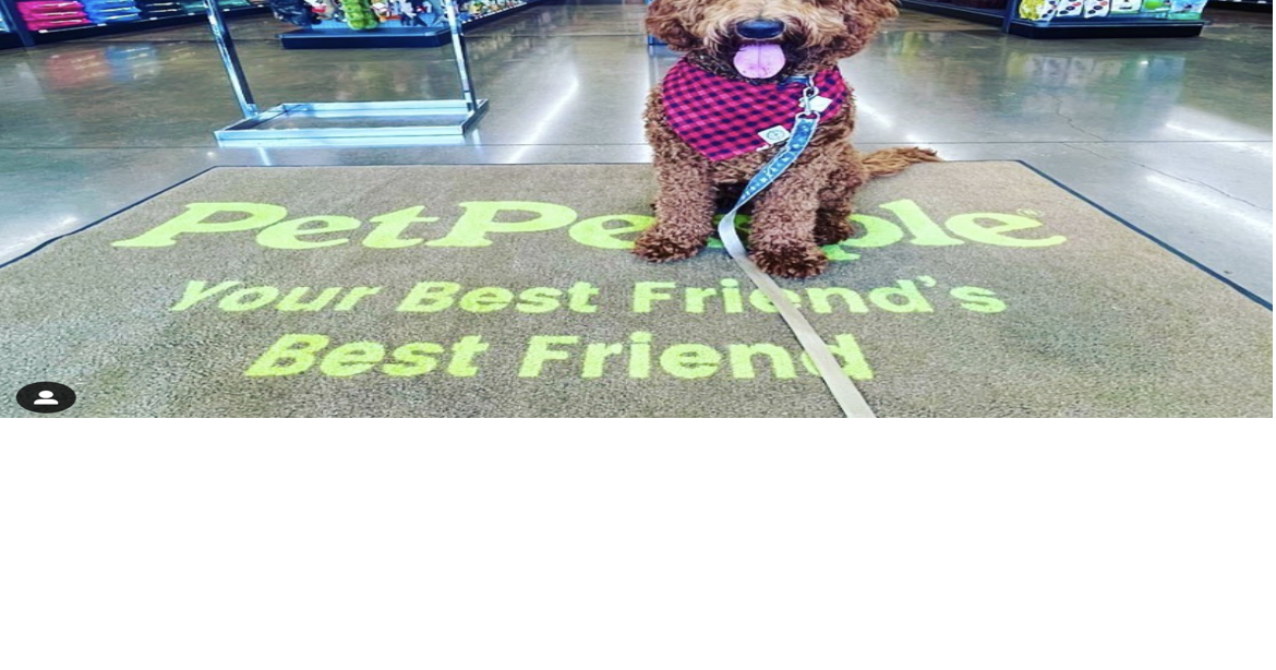 PetPeople built on personal relationships, service Pets