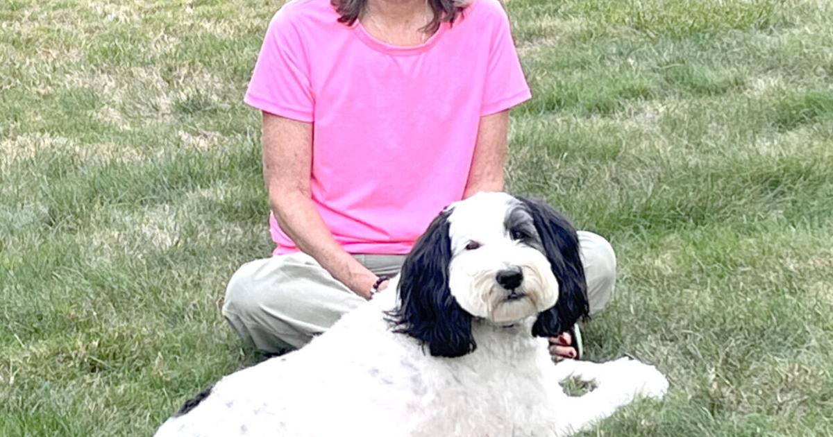 Ben Rennell Furry friends are family, forever | Regina Brett | columbusjewishnews.com
