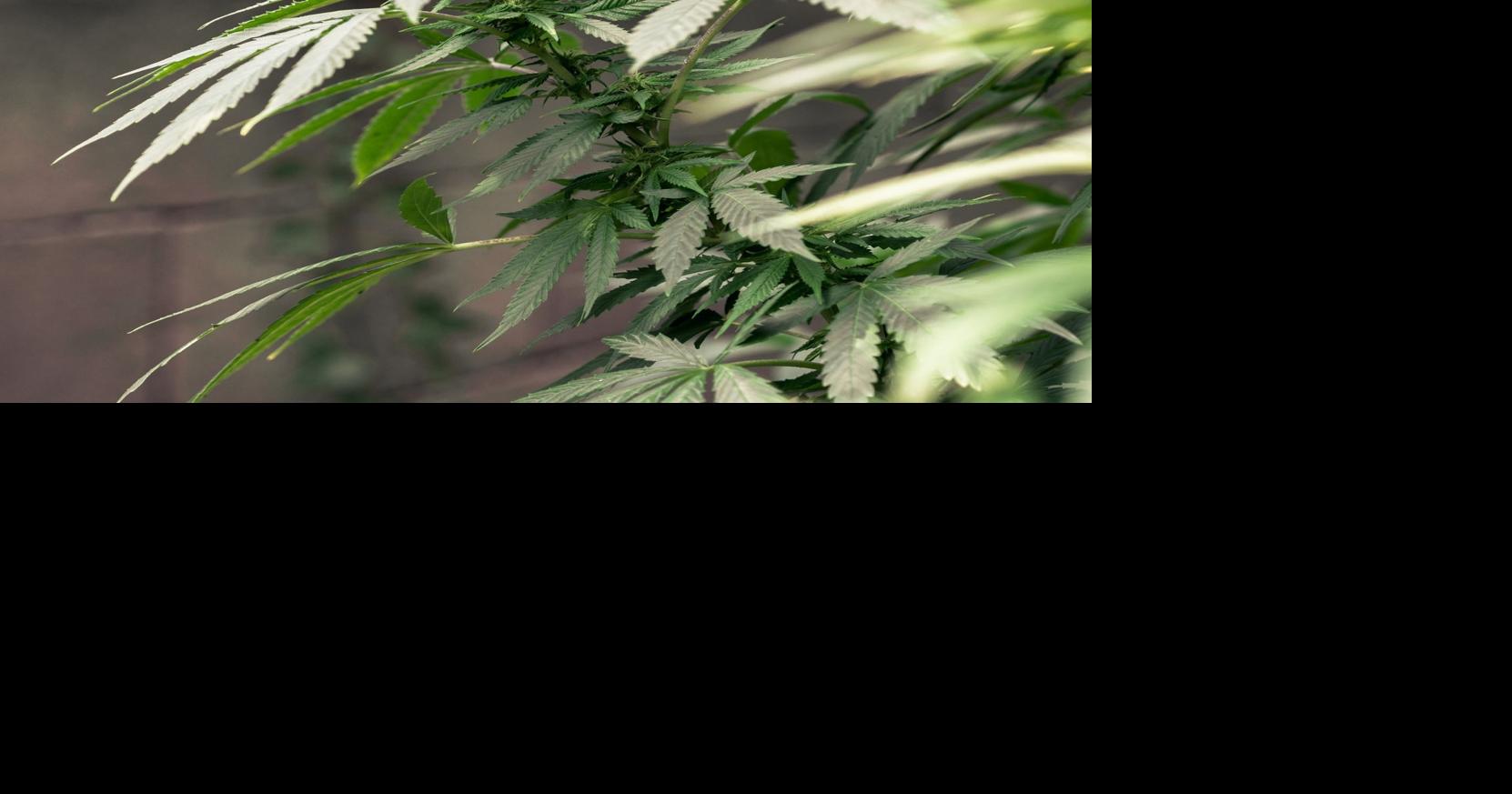 Will recreational pot go on sale soon in Ohio? Medical marijuana stores can now apply to sell it