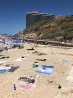 Cherney beach photo.jpg