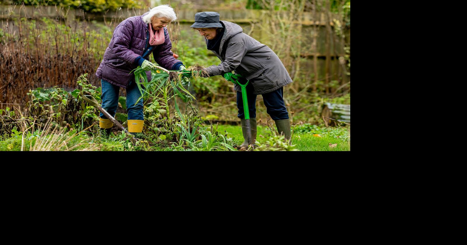 Remaining connected to others contributes to aging well