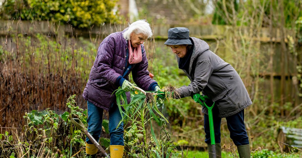Remaining connected to others contributes to aging well