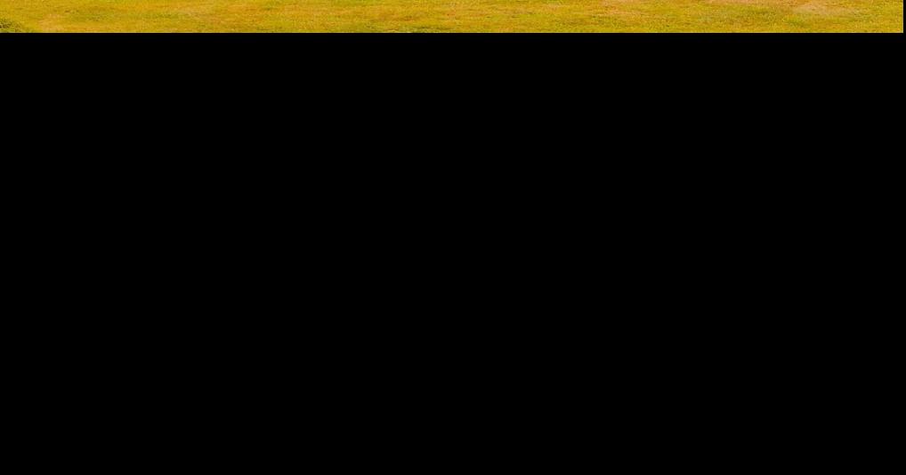 What happens at camp during the off season? Directors weigh in