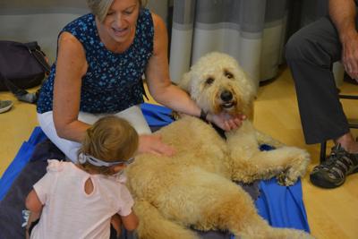 Working pups visit Columbus JCC for PJ Library program