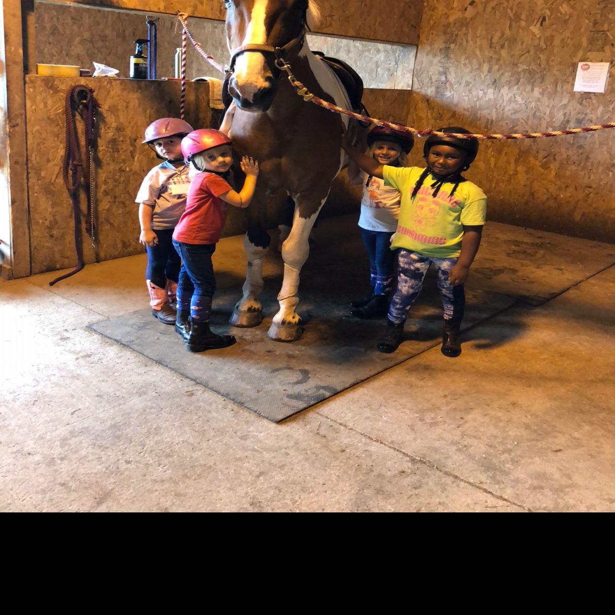 Camp Listings Camp Listings Columbusjewishnews Com