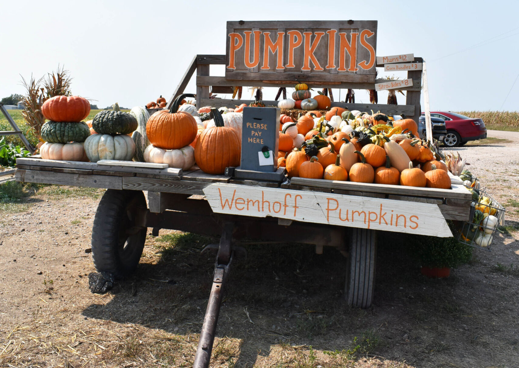 Wemhoff Pumpkins marks 10th year