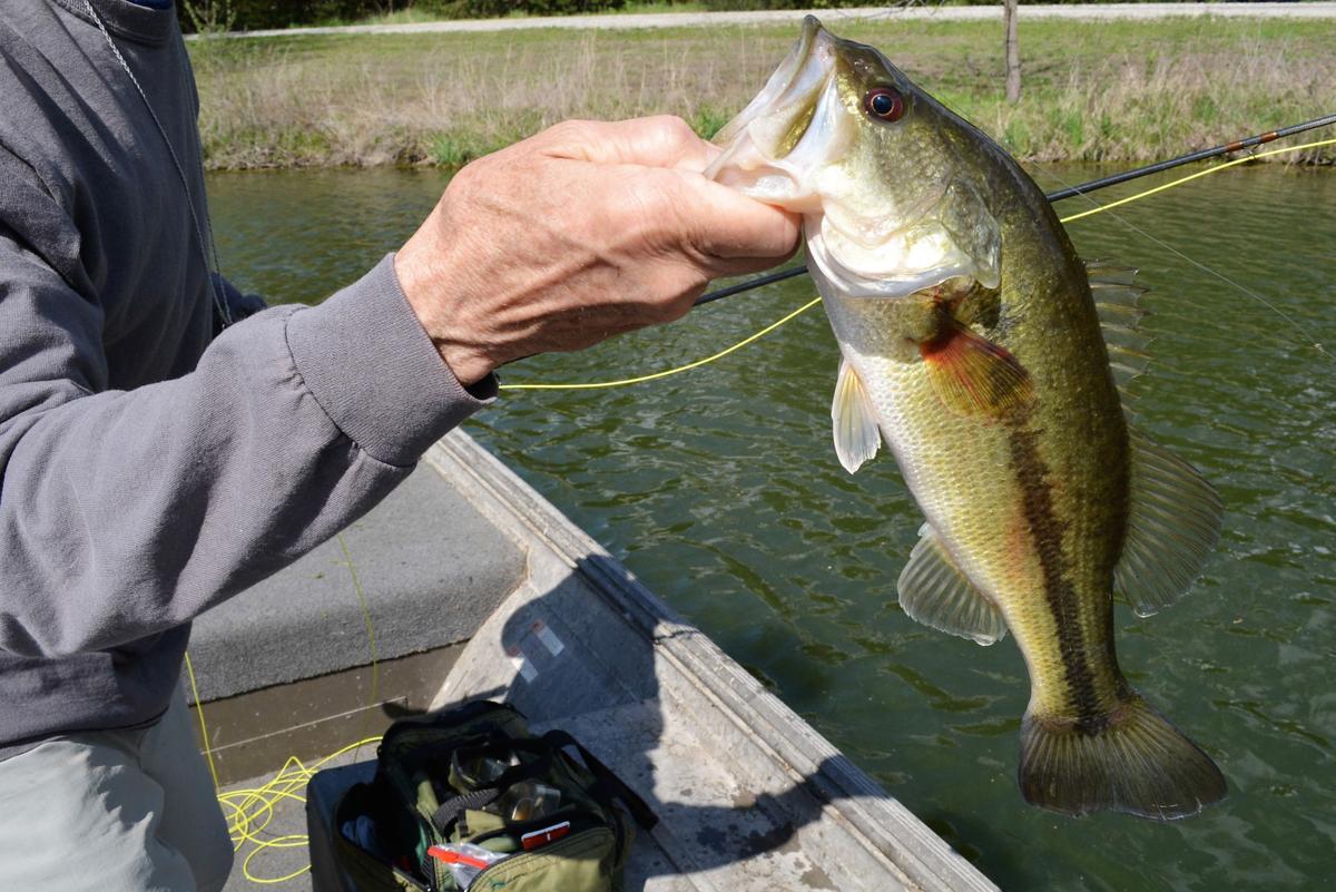 Keyes Testing your largemouth bass knowledge