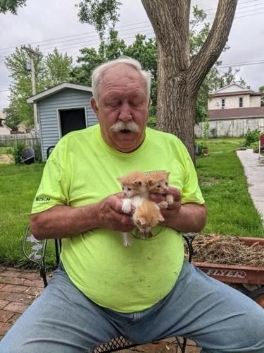 georgekittens.jpg