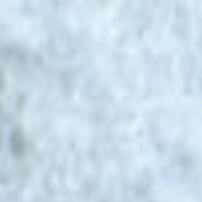 Bed Bugs Infrequent In Area Local Columbustelegram Com