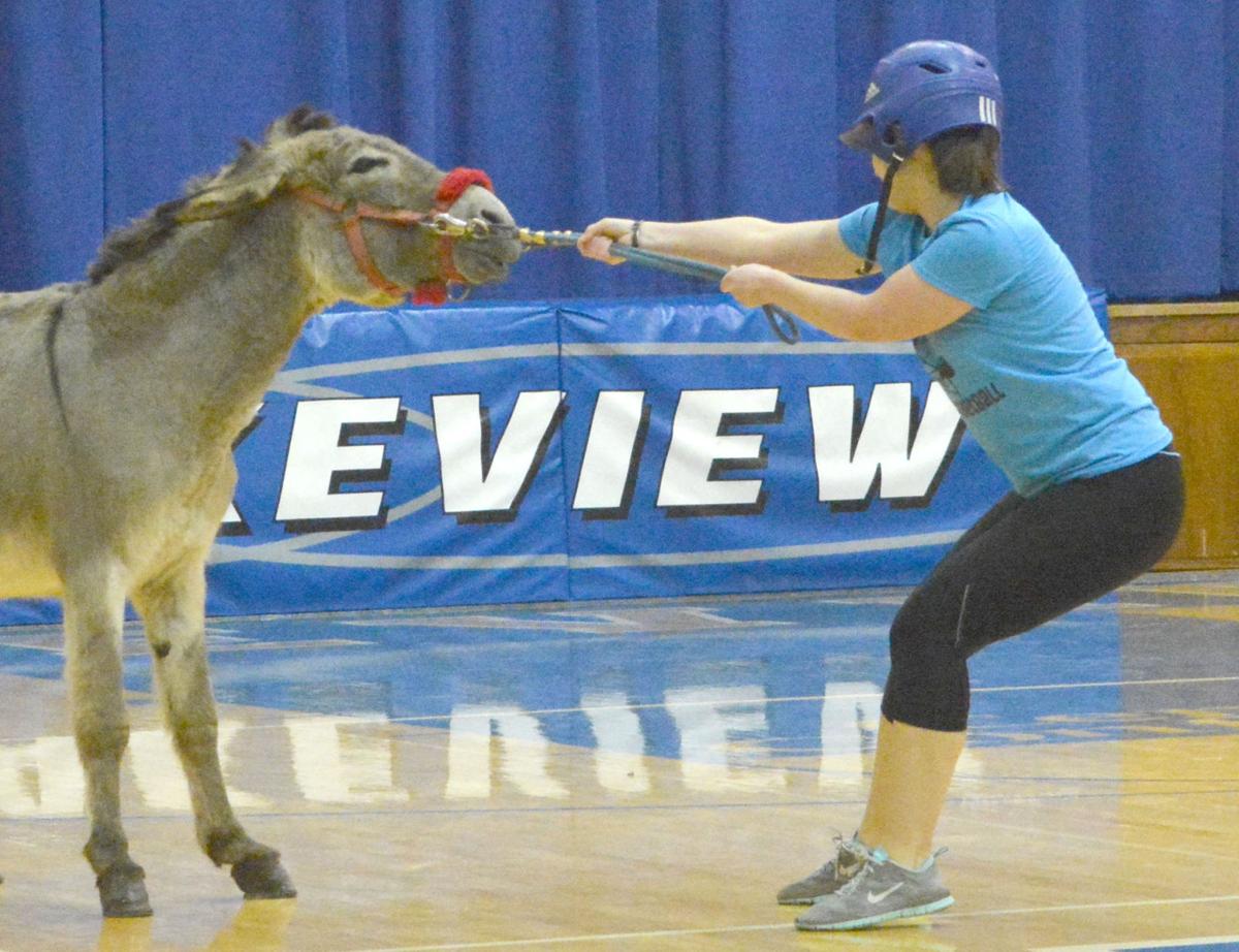 Players learn donkey ball is stubborn game Local