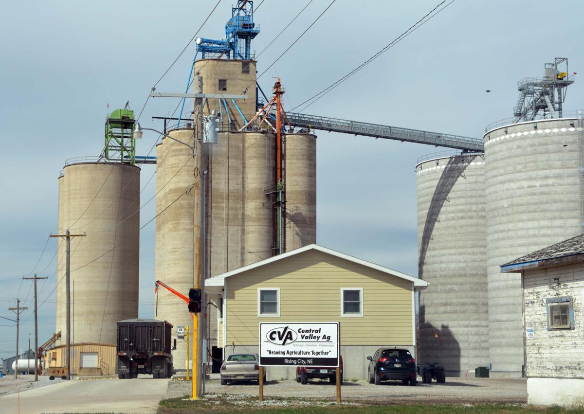 State home to eight of nation's largest coops Local News