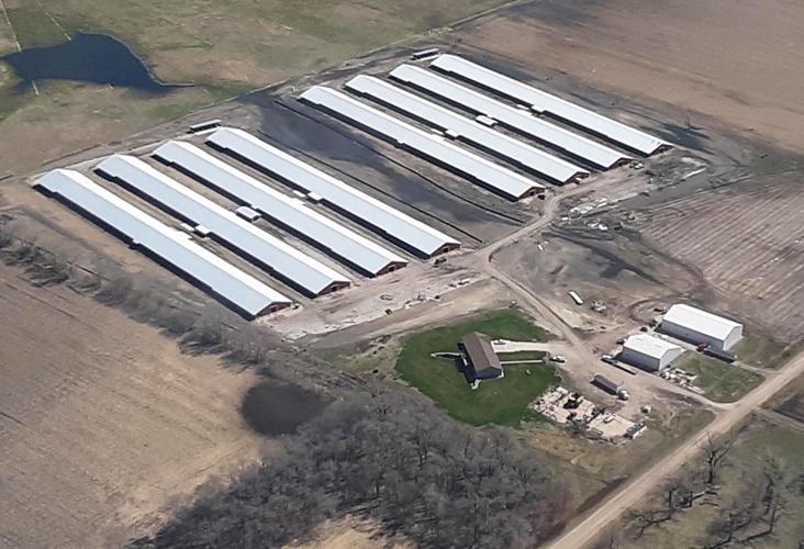 Chicken Barns