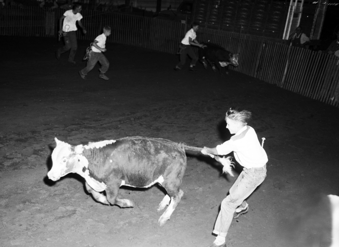 Kid catching cow