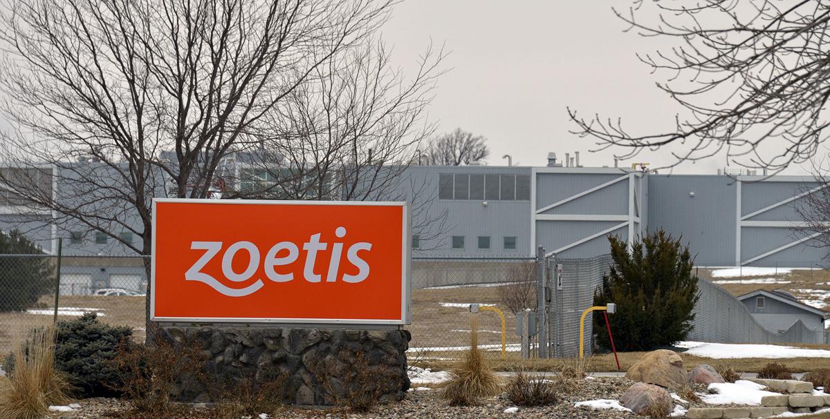 Zoetis plant