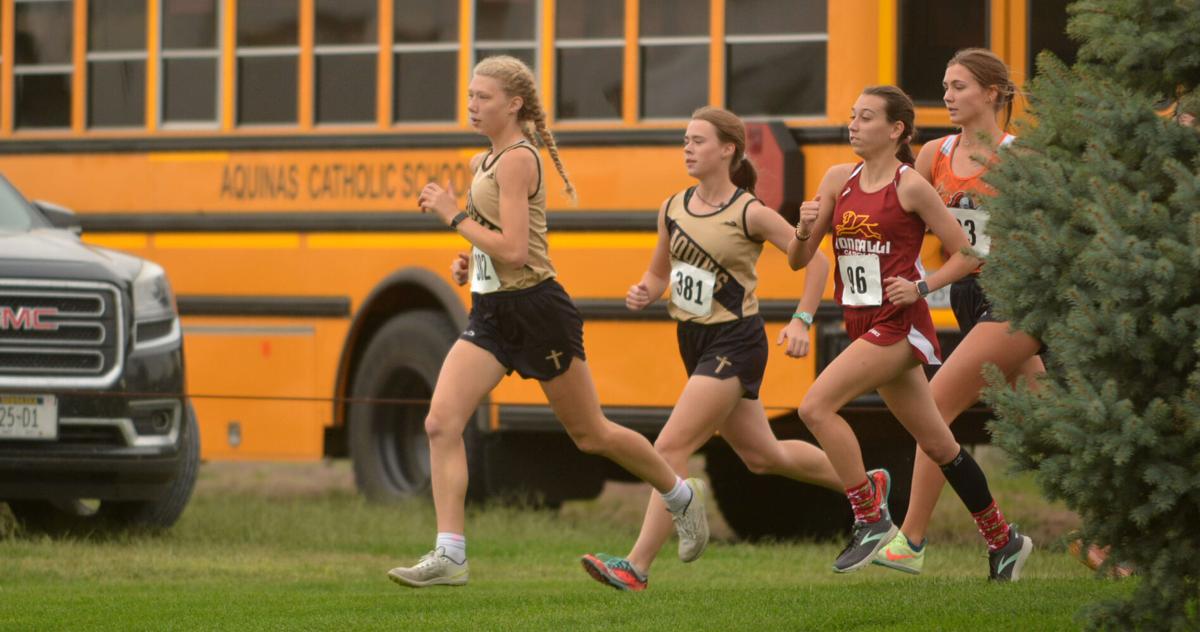 Monarch girls win district title, East Butler's Kozisek qualifies for state