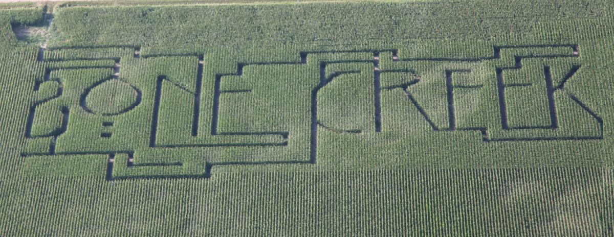 Corn Maze Cornfest