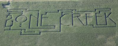 Corn Maze Cornfest