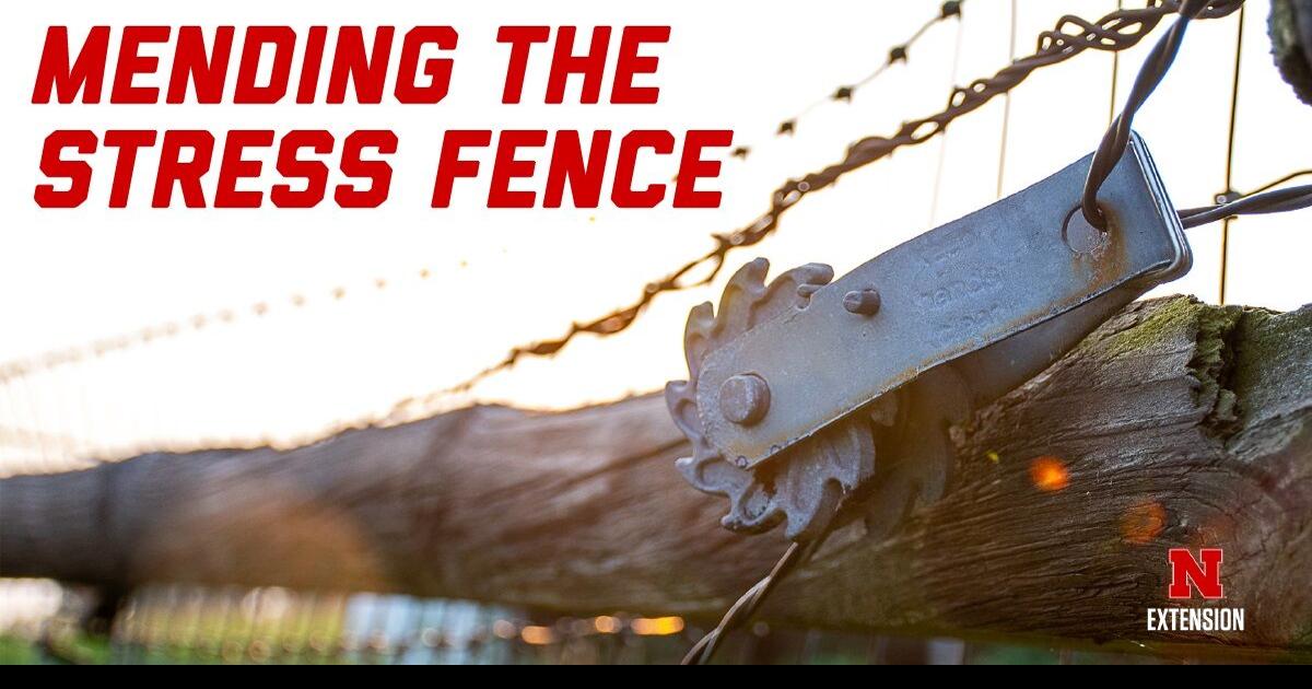 Webinars to cover stress recognition, management for ag producers and professionals