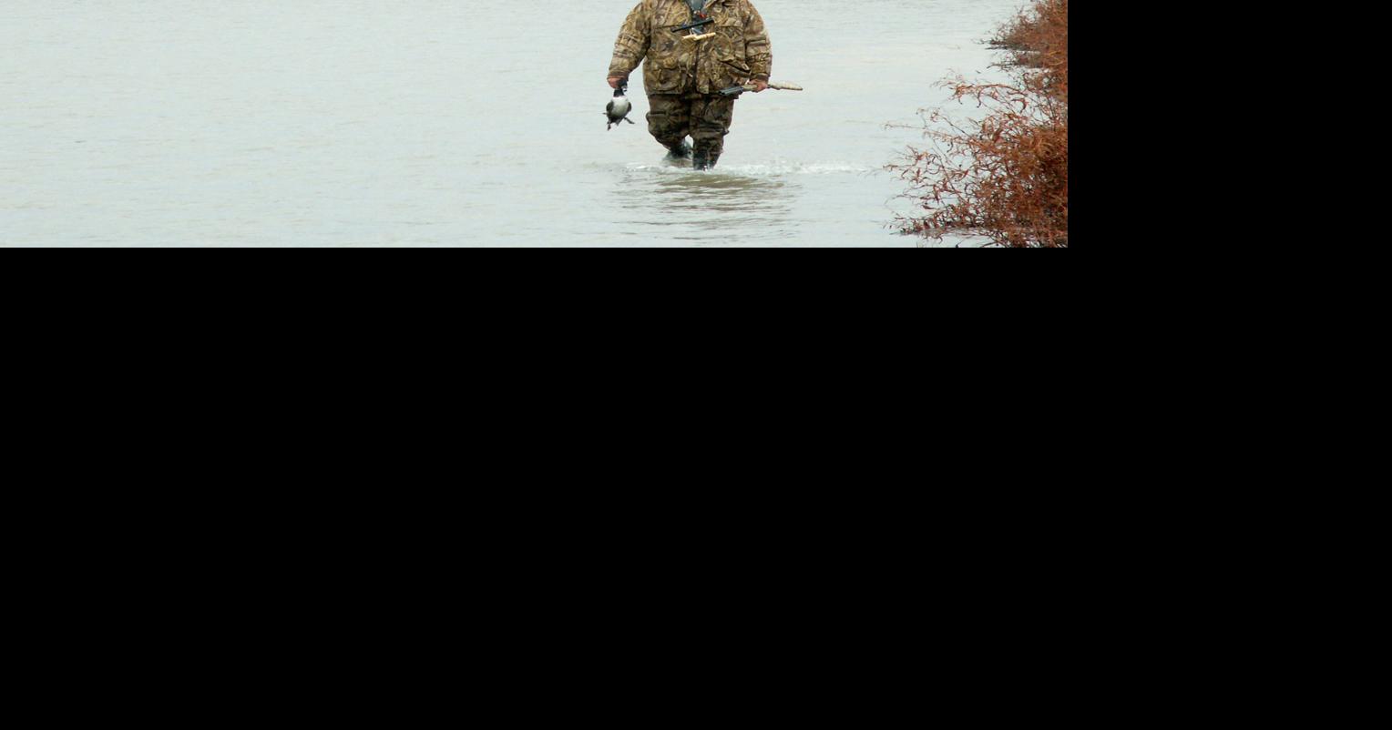 Duck hunters must select from 2 bag limits when registering for harvest program
