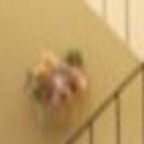 Living Fred Latest Venture For Columbus Cruikshank Local Columbustelegram Com