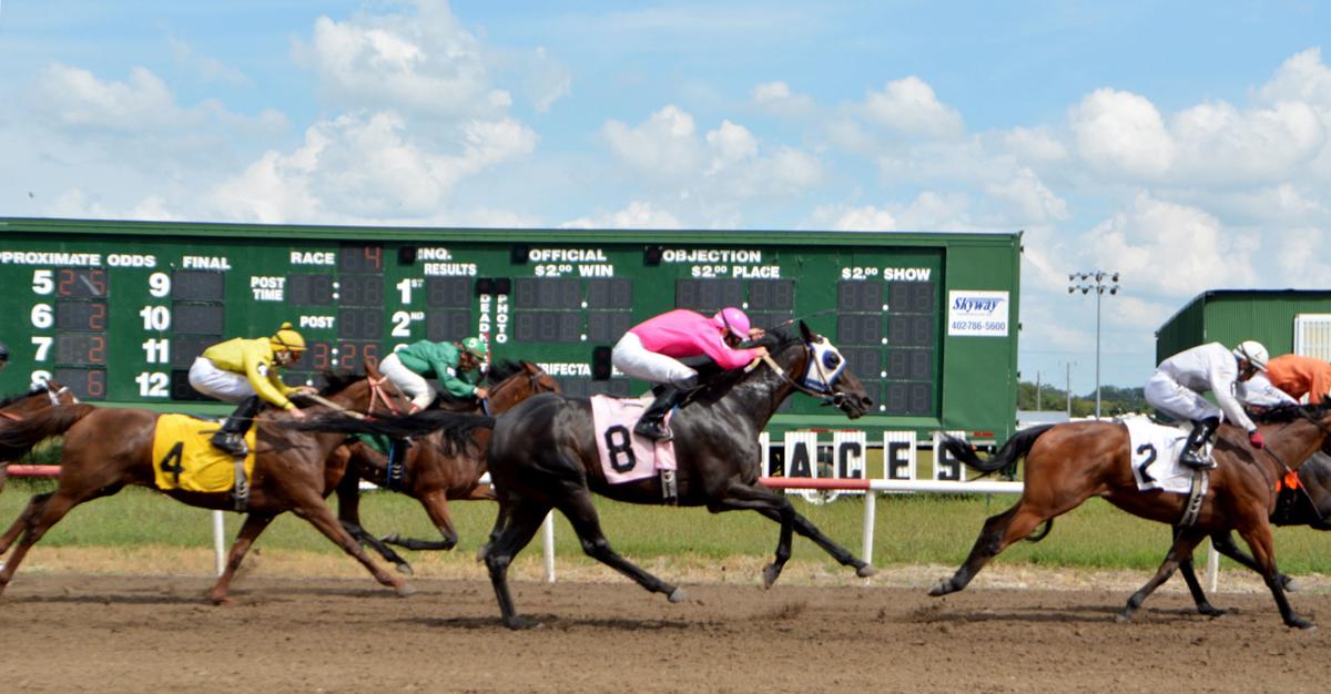 Horse track host opening night Friday