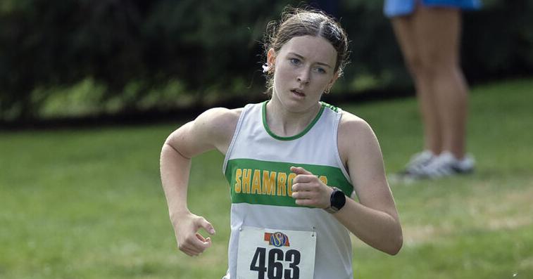 Area runners take part in state cross country championship