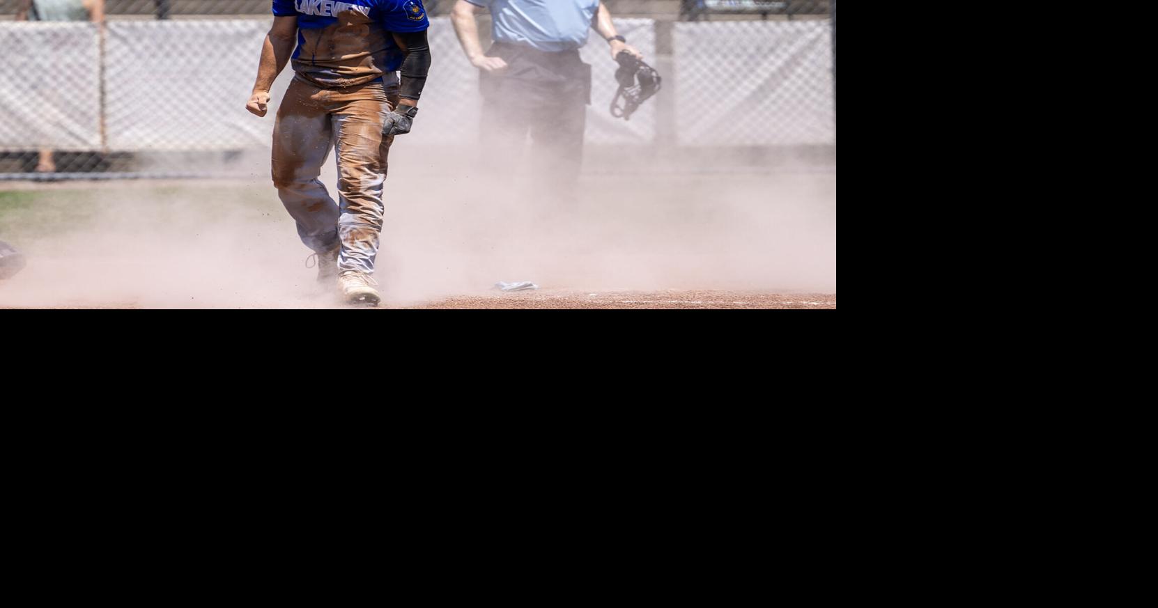 Lakeview, David City Seniors keep state dream alive in Area tournament