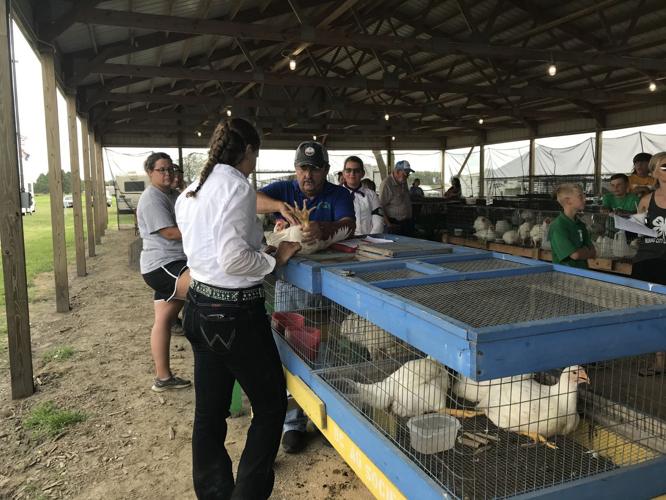 Poultry show