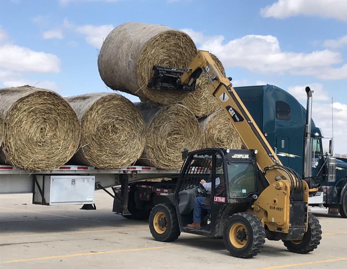 Truckers Haul In Tons Of Hay To Ag Park To Help Area Producers