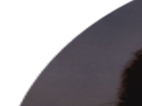 Rose Behlen Obituaries Columbustelegram Com