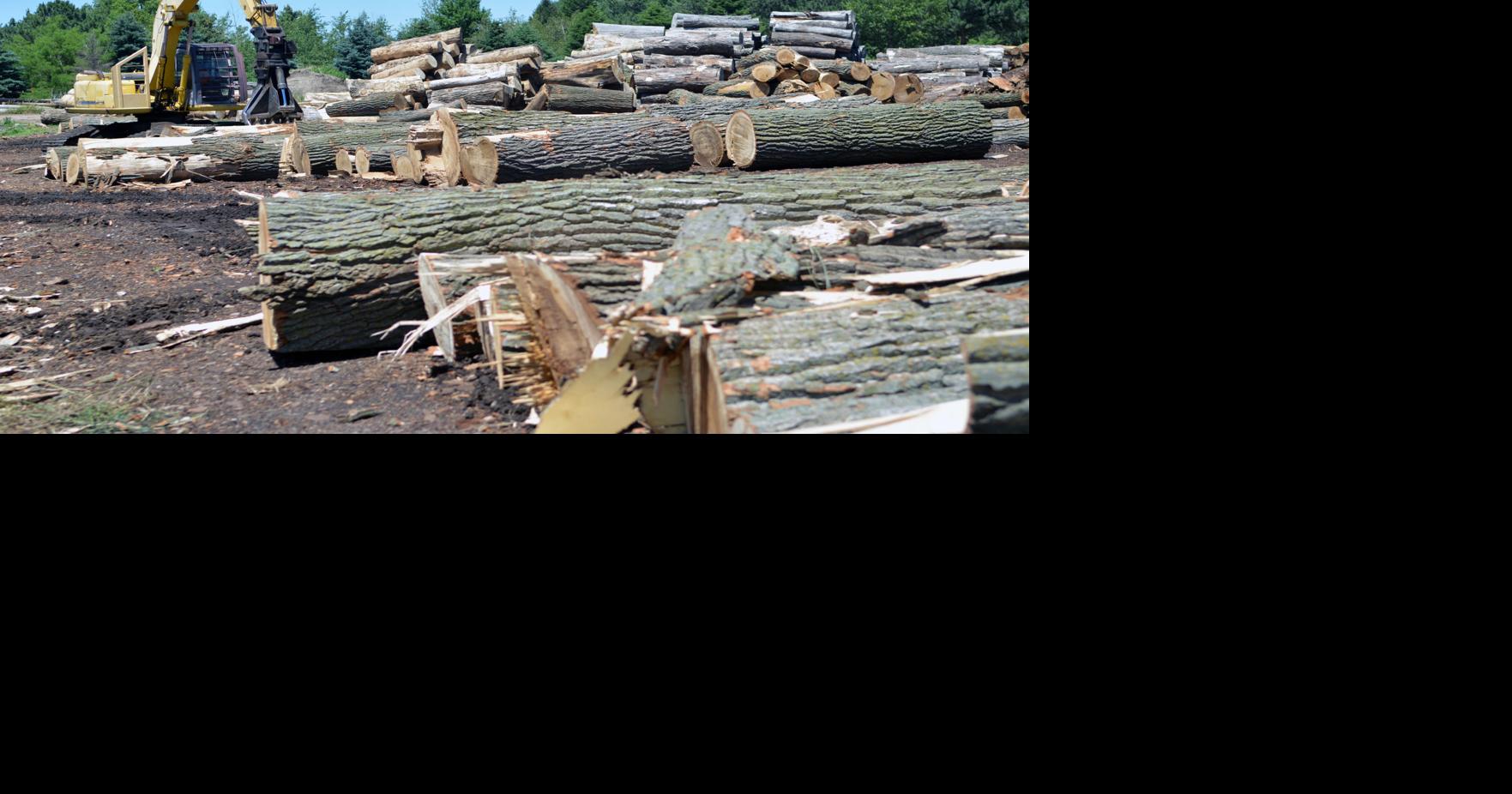 Barcel Lumber keeps growing