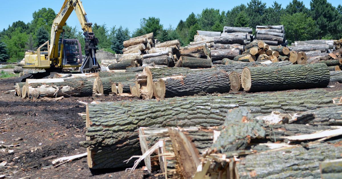 Barcel Lumber Keeps Growing