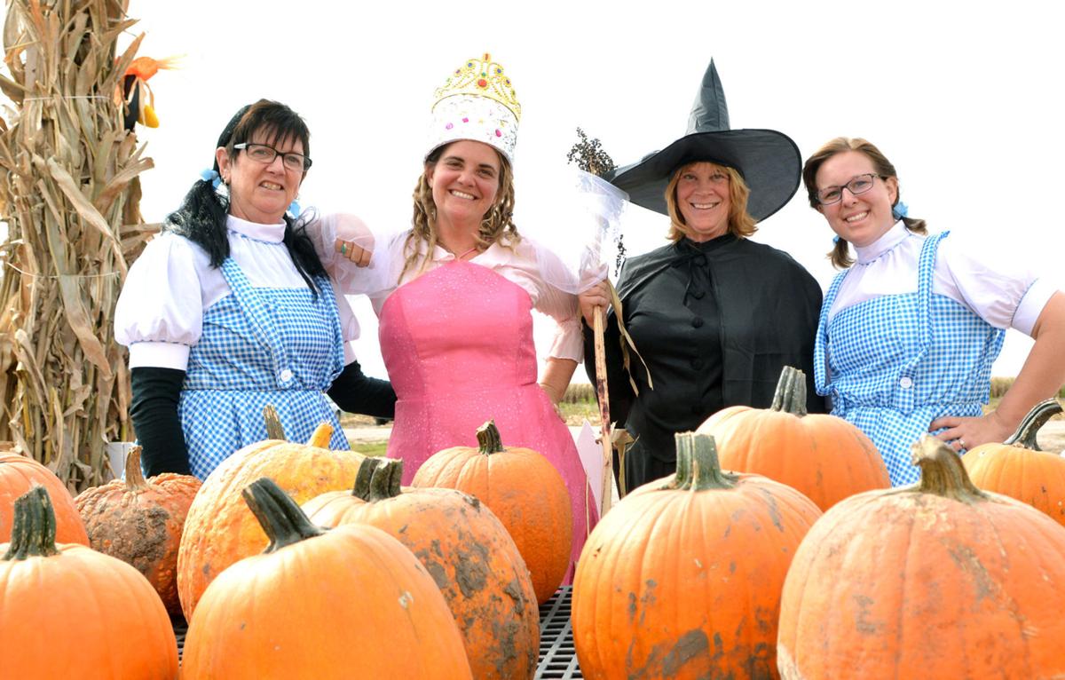 Pumpkin Patch Puts Visitors In Fall Spirit Local