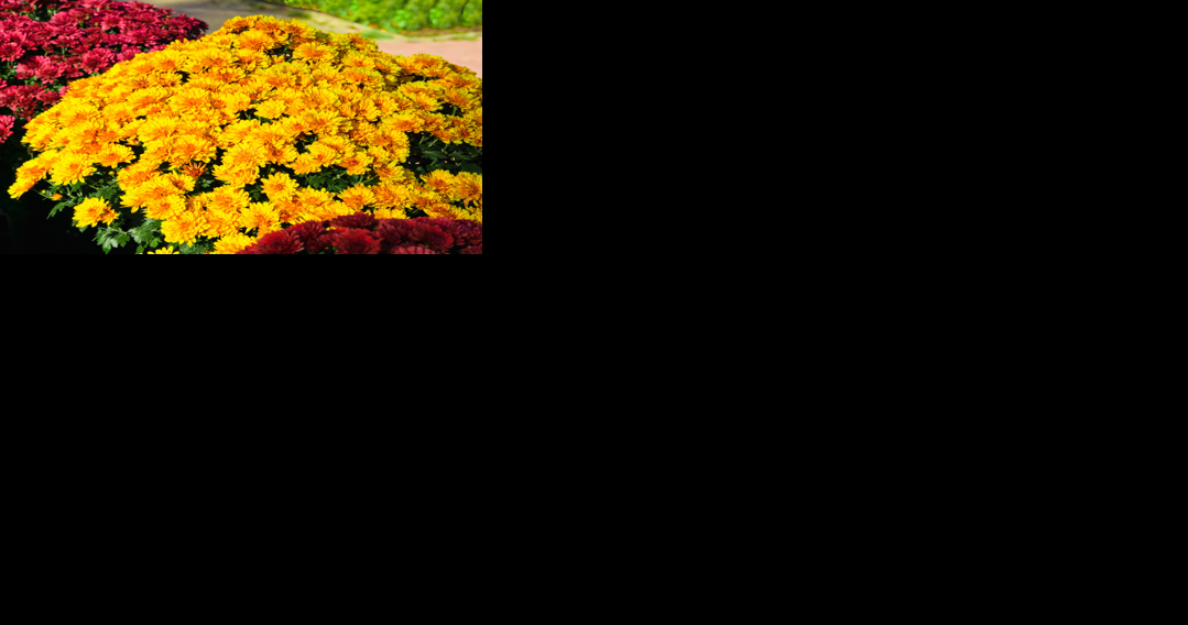 Club notes: Schuyler Garden Club - Vimarsana News