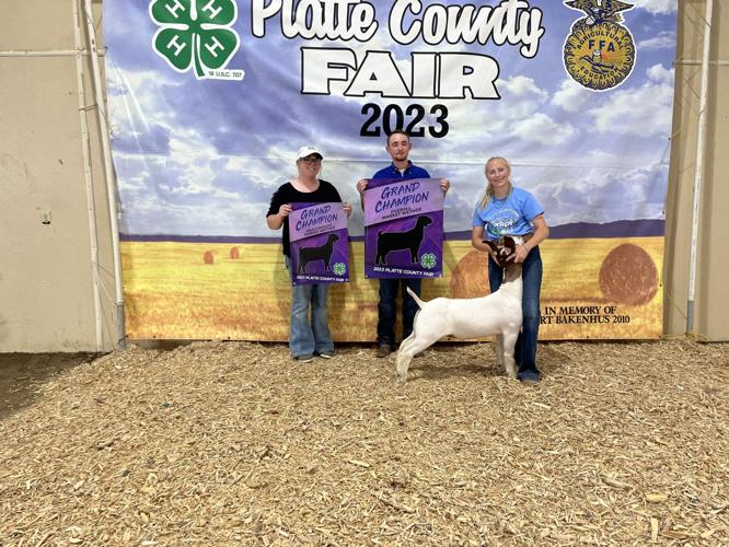 Platte County Fair Goats