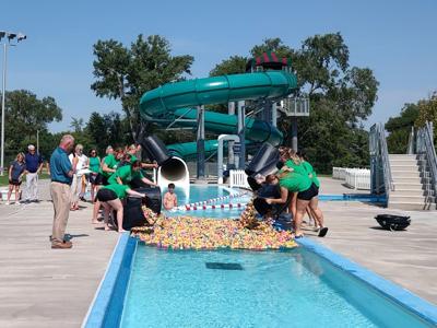 United Way ducks