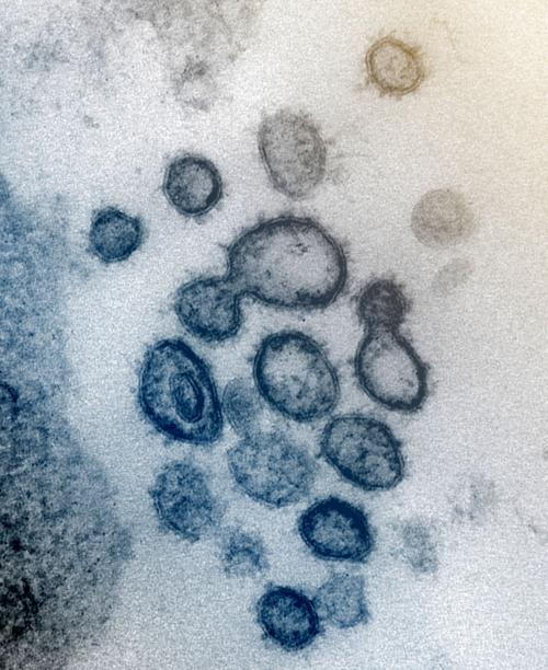 Coronavirus Outbreak