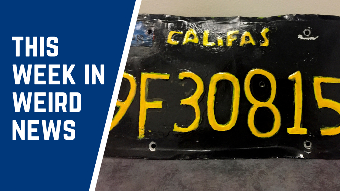 Badly made fake license plate leads to arrest, and more of this week's