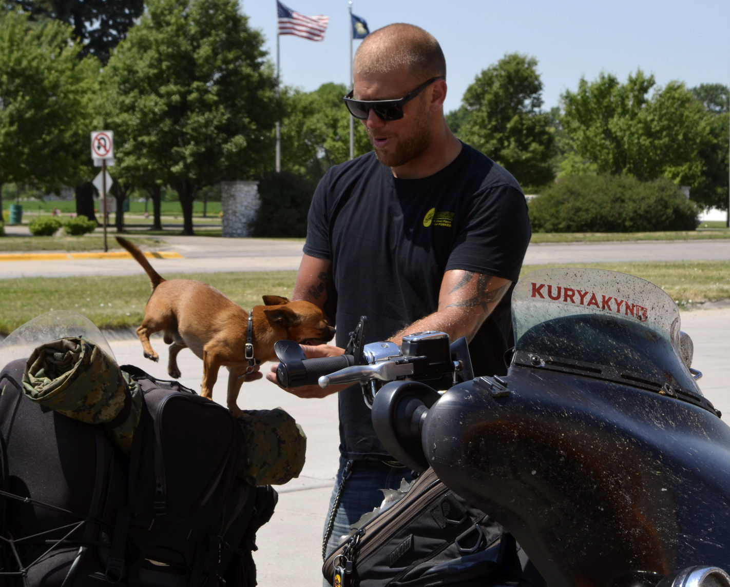 harley davidson dog stuff