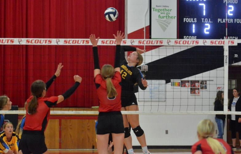 Volleyball season opens for David City, Aquinas, ShelbyRising City and